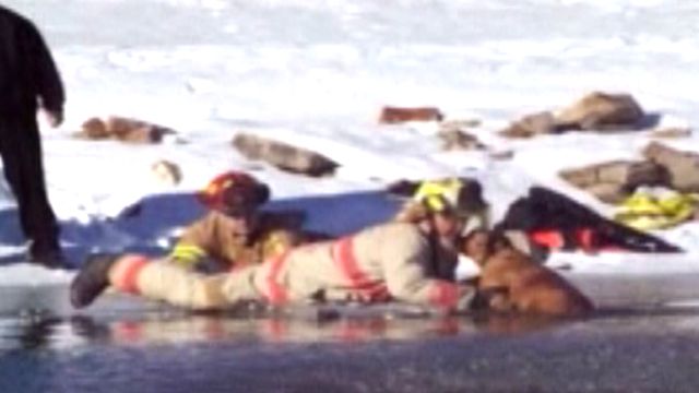 Pooch Rescued from Icy Waters