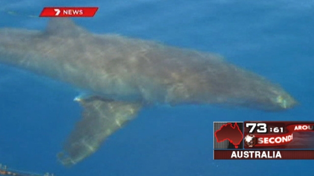Around the World: Shark Attack in Australia
