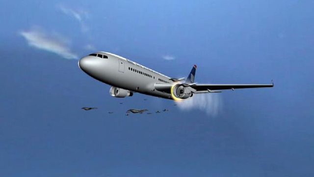 Birds, Planes Battling for Airspace