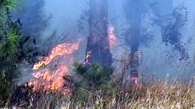 Brush fire causes evacuations in Florida
