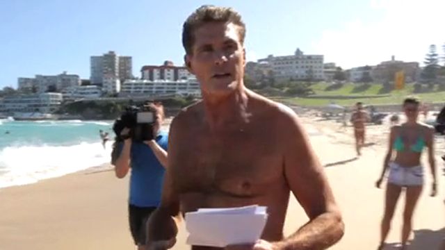 'The Hoff' goes back to the beach