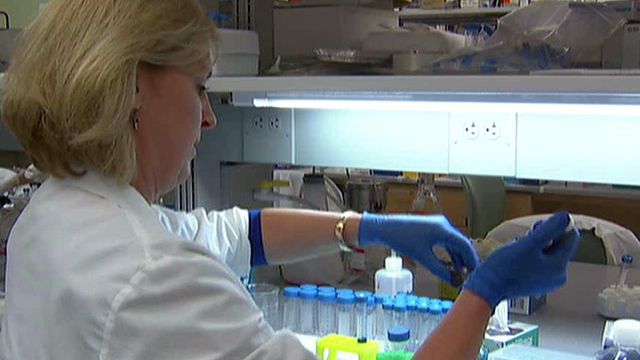 Report: Stem cells hold promise of fountain of youth