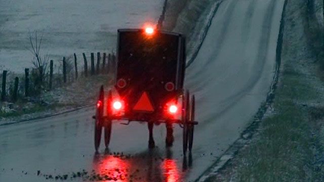 ATV rear ends Amish buggy carrying family of 11