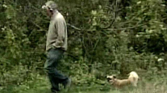 Backlash grows after park ranger tasers dog walker