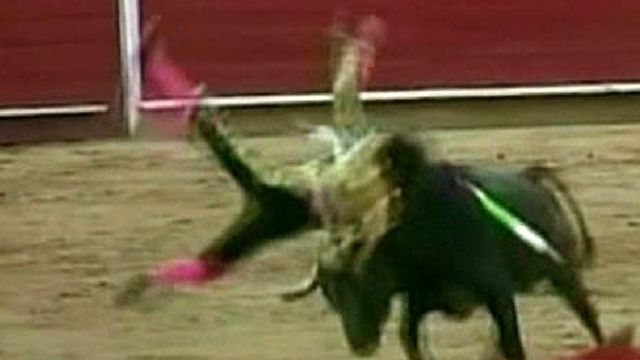 Boy Bullfighter Gored Twice