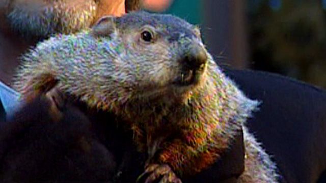 Groundhog Makes Annual Prediction