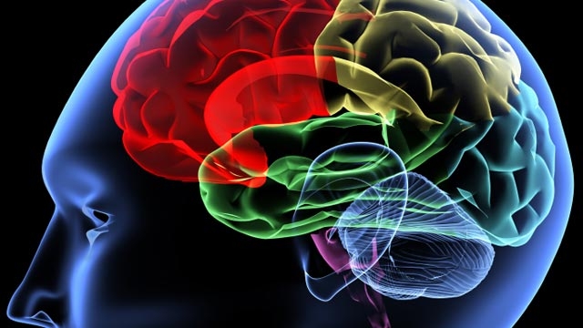 Brain Damage Breakthrough?