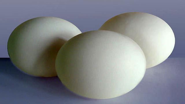 Hard boiled egg recall hits 34 states