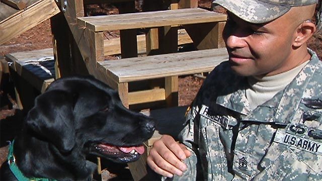 Dog Saves Soldier with PTSD