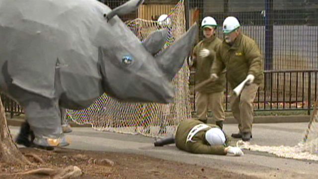 Workers in life-sized rhino suit imitate rampage