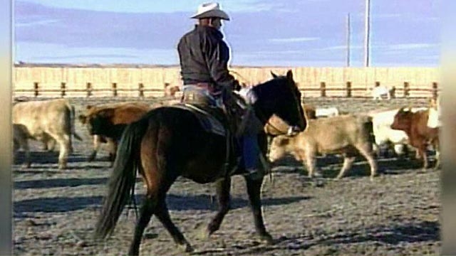 Montana Senate Votes to Adopt 'Cowboy Code'