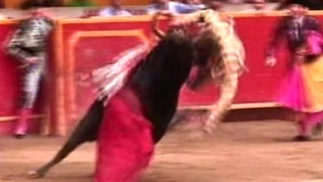 Bullfighter Gored in Colombia