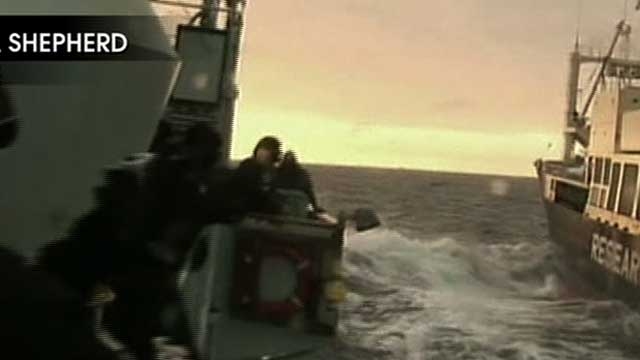 Japan Halts Whale Hunt
