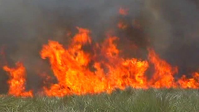 Wild fire burns over 350 acres in Florida