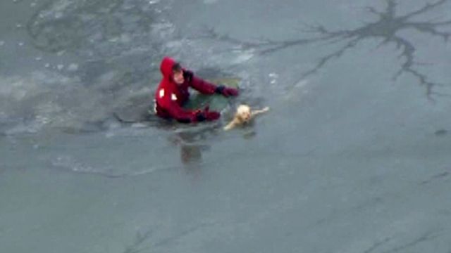 Dog rescued from thin ice finds new home