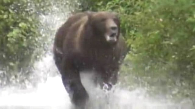 Grizzly charges at hikers