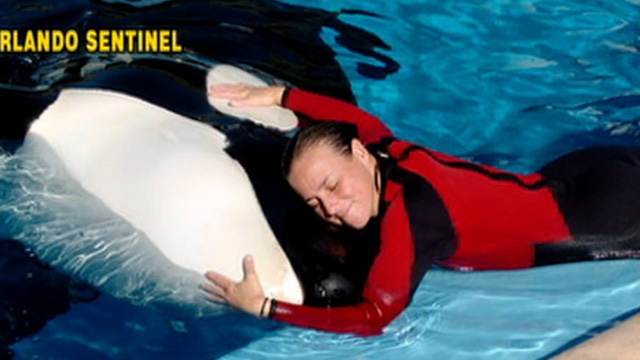 SeaWorld 911 Tapes Released