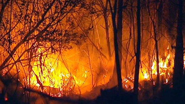 Firefighters battle brush fires in Florida