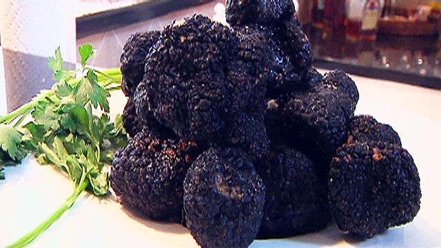 Worlds Most Expensive Food Now Grown in NC