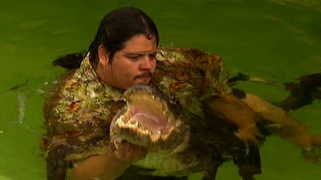 Freestyle Gator Wrestling