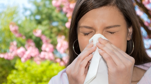 What's Your Allergy IQ?