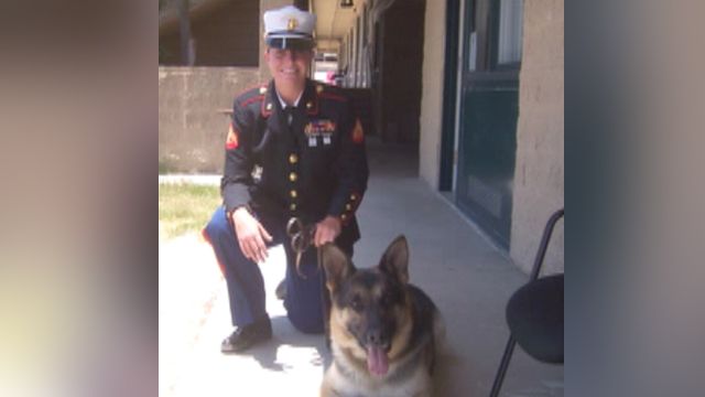 Injured Marine seeks to adopt military dog