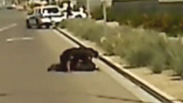 Across America: Police catch suspected thief in Phoenix