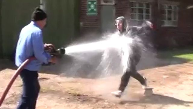 Water cannon vs. reporter