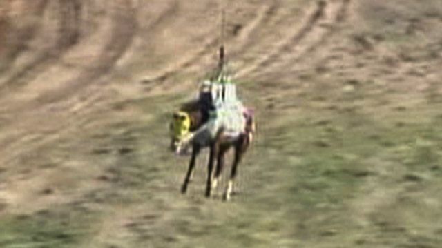 Helicopter Rescues Stranded Horse
