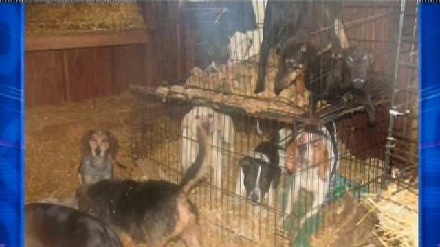 Disturbing Animal Hoarding Case 
