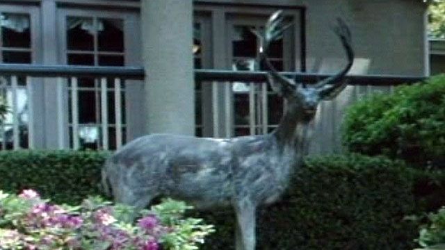 Bronze deer statue stolen in Oregon