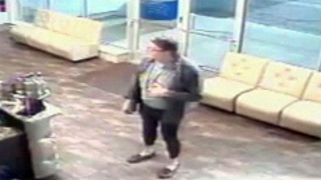 Hunt for serial flasher in Detroit suburbs