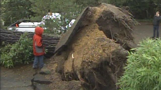 Golden State Residents Clean Up After Powerful Storm