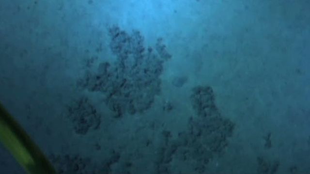 First images of the bottom of the ocean