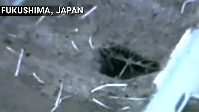 Japan on 'Maximum Alert' Over Nuke Crisis