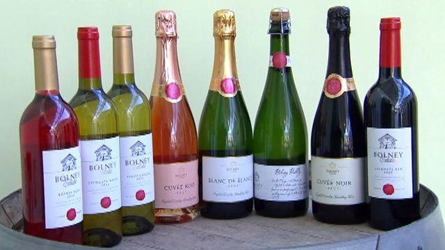 British vineyard owners hope to rival French champagnes