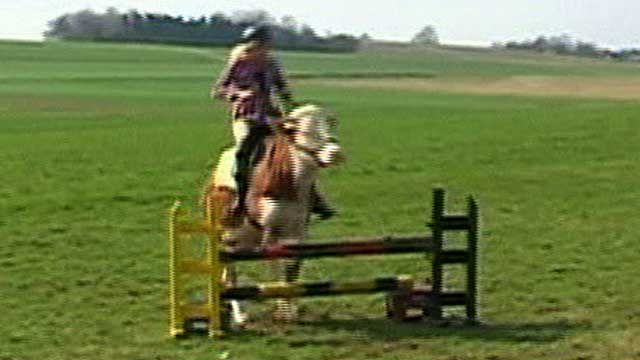 Teenage Girl Trains Cow to Jump