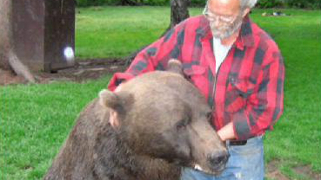 Man Fined for Feeding Wild Bears