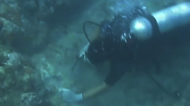 Sunken Treasure Found in Caribbean Shipwreck 