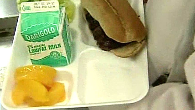 Public School Bans Homemade Lunches