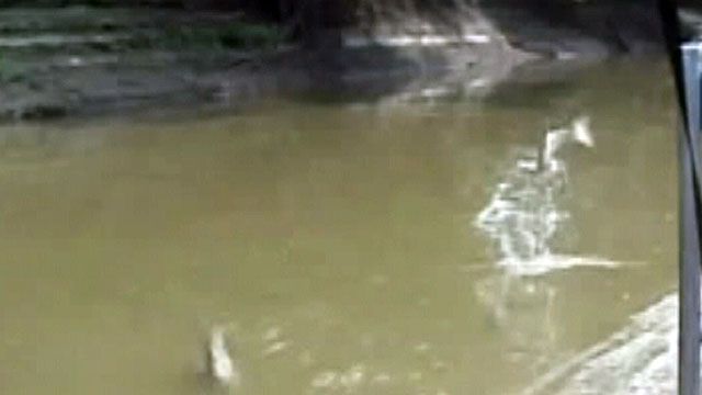 Can Asian carp be kept out of Lake Michigan?