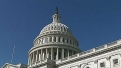 Government's Policies Inhibit Freedom