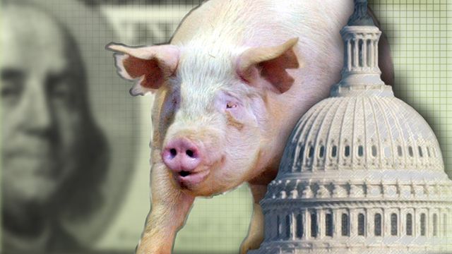 How much of your tax dollars are funding pork projects?