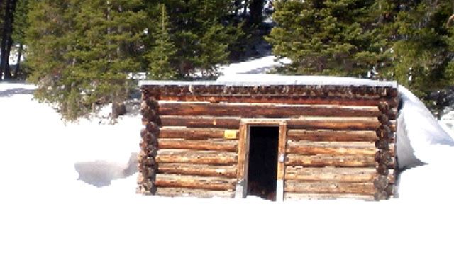 Frozen cows found inside Colorado cabin