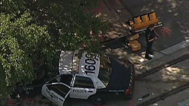 TX Man Steals and Crashes Cop Car