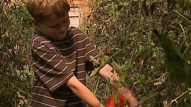 Debate over kids and farming