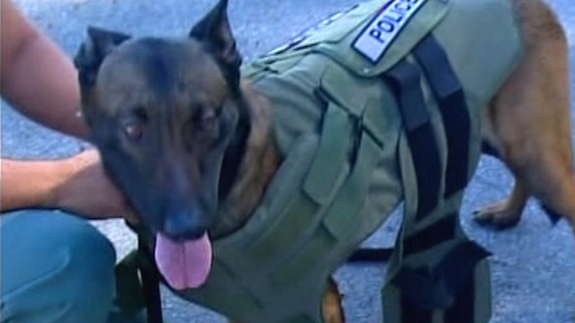 Priceless Protection for Four-Legged Crime Fighters