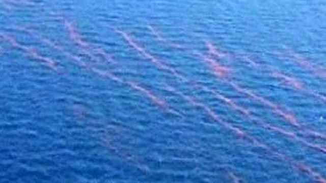 Oil Spill Cleanup Strategy