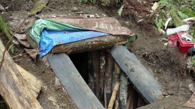 Washington police find body in underground bunker