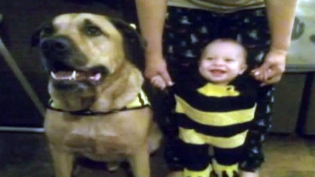 1-year-old killed by dog on birthday